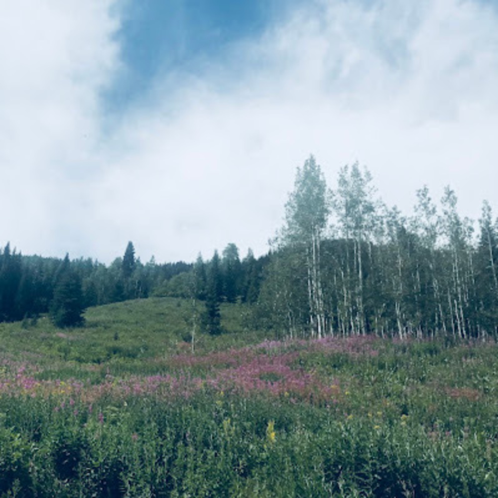 Meet your Posher, Carly